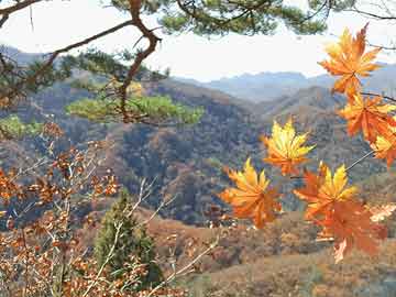 重庆北碚缙云山并未起火——一场误解的澄清